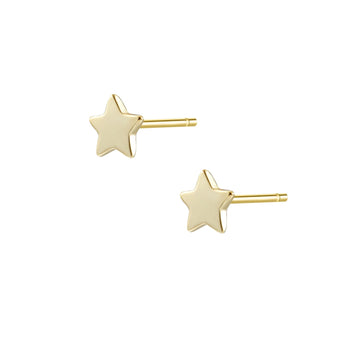 Star Pendant Stud Earrings